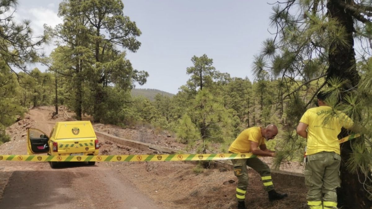 Susza i wysokie temperatury stanowią spore zagrożenie 