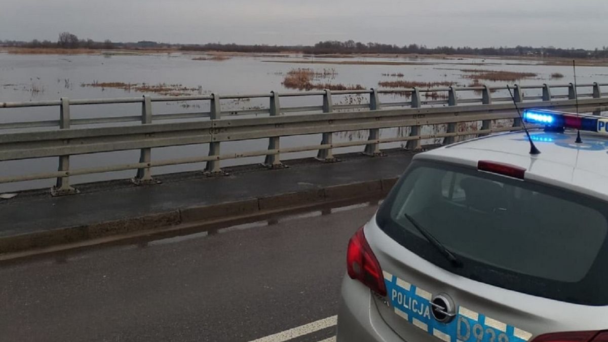 Poszukiwania Doroty P. nadal trwają