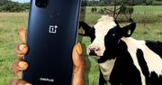 OnePlus wprowadził tańszy telefon. Tymczasem cena poprzedniego... poszła w górę