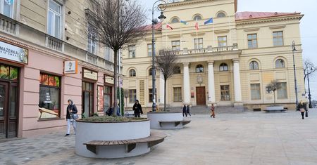 Radny apeluje o posadzenie drzew przed Ratuszem. Co na to miasto? „Tu kabel, tu kabel, tam kabel”