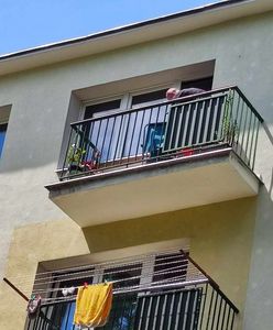 Zaklinowała się na leżaku plażowym. Do akcji wkroczyli strażacy