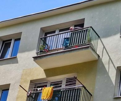 Zaklinowała się na leżaku plażowym. Do akcji wkroczyli strażacy