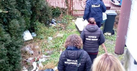 Policjanci uratowali bezpańskie koty przed zamarznięciem w pustostanie. Szukają nowego domu