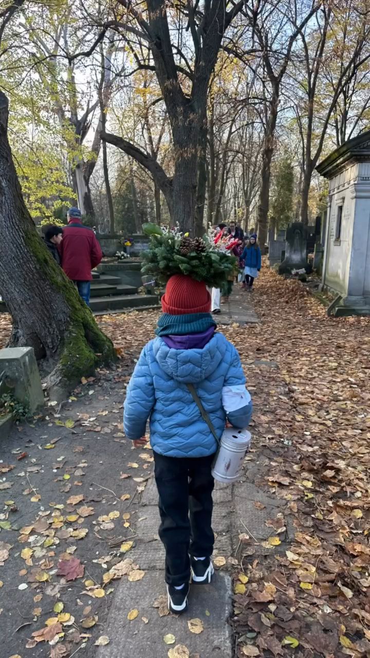 Syn Mateusza Damięckiego