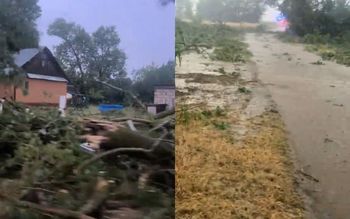 Wstrząsający widok po burzy. "To tylko część zniszczeń"