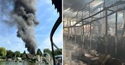 Europa-Park w ogniu. Pożar w największym parku rozrywki w Niemczech