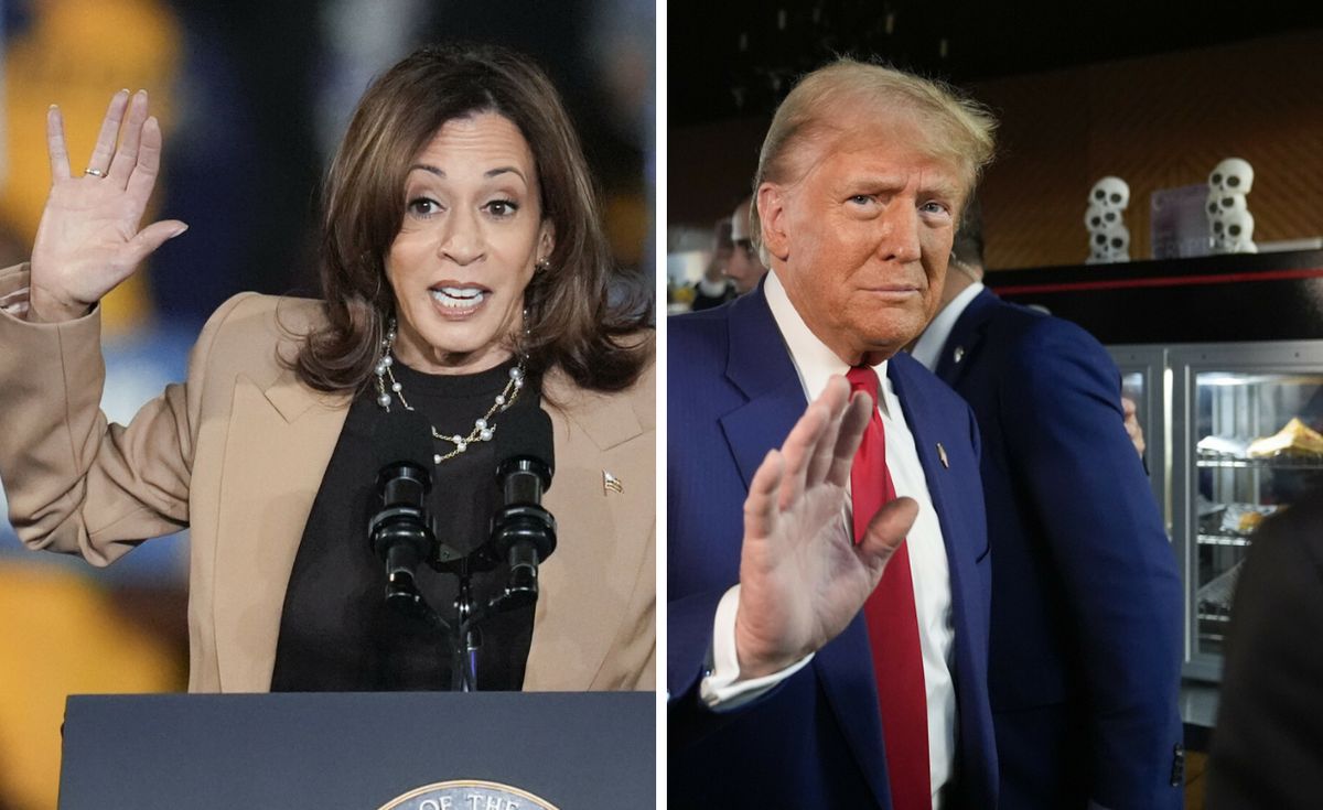 wybory usa, Donald Trump, Kamala Harris Ostatnia prosta kampanii w USA. Co mówią sondaże?