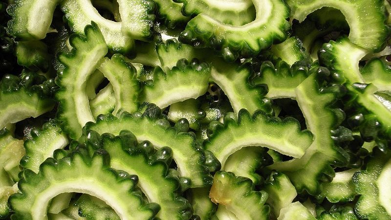 Gotowana balsamka ogórkowata z dodatkiem soli, odsączona