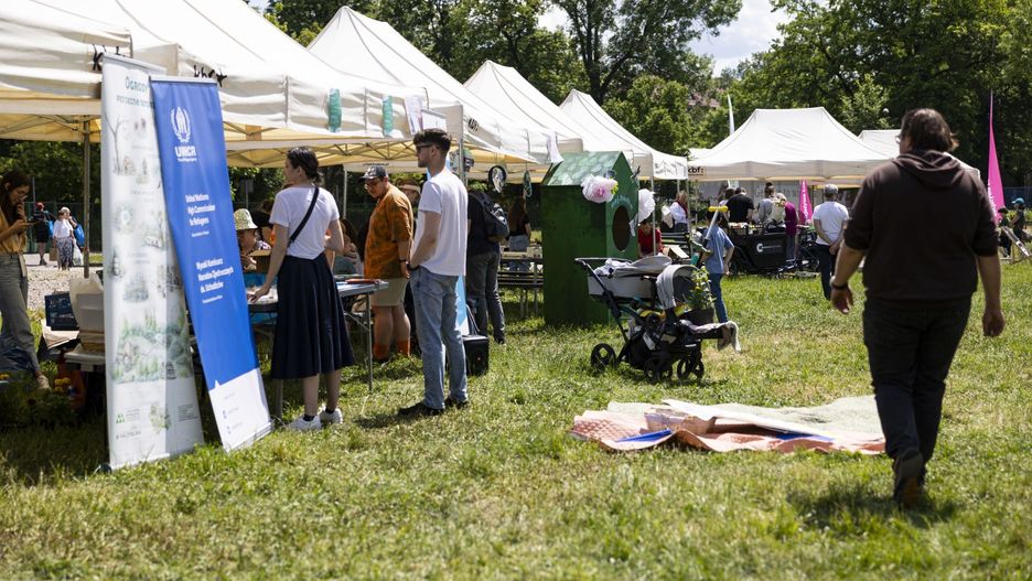 Pikniki na Wesołej w Krakowie to już tradycja