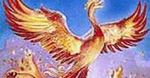 Doczekaliśmy się. Harry Potter i Zakon Feniksa w księgarniach!