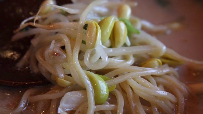 Gotowane kiełki fasoli nerkowatej z dodatkiem soli, odsączone