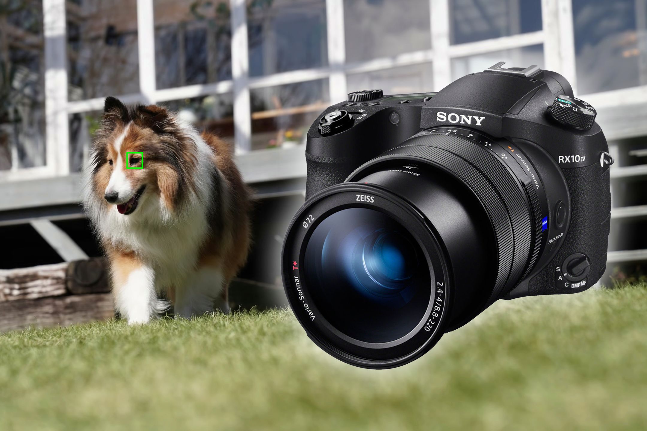 Sony RX10 IV otrzyma wykrywanie oczu zwierząt za darmo 1