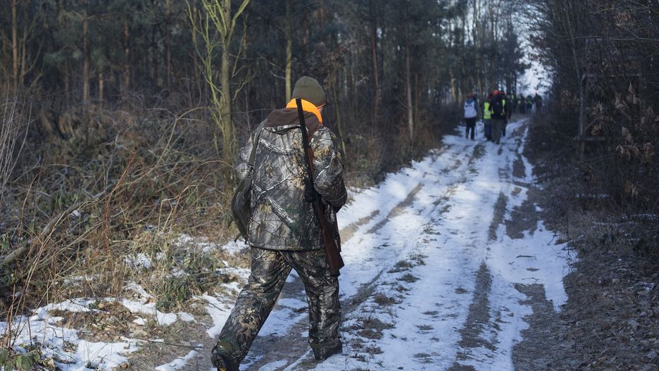 Komisja Ochrony Środowiska, Zasobów Naturalnych i Leśnictwa zdecydowała ws. projektu noweli Prawa łowieckiego