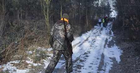 Dzieci będą mogły brać udział w polowaniach? Jest decyzja komisji ws. projektu ustawy