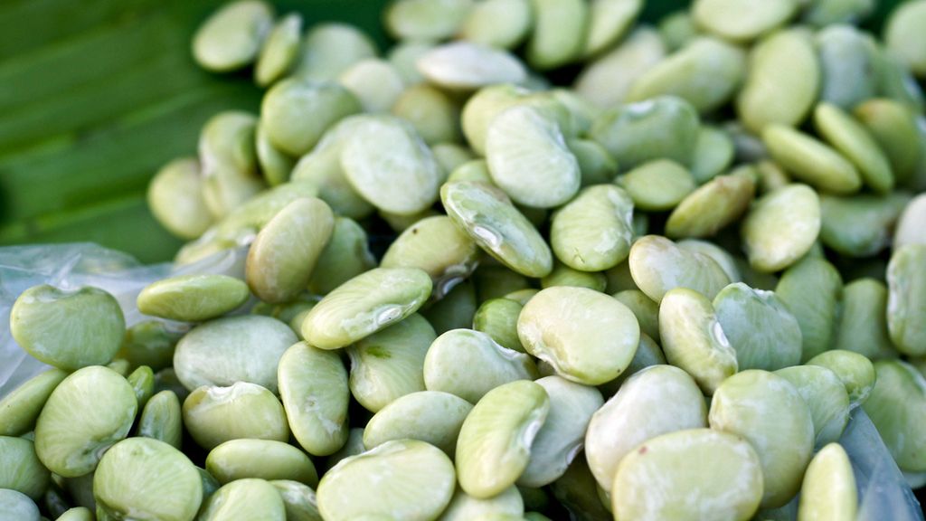 Młoda fasola limeńska w puszce bez dodatku soli (produkt i płyn)