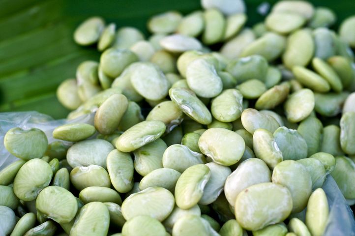 Młoda fasola limeńska w puszce bez dodatku soli (produkt i płyn)