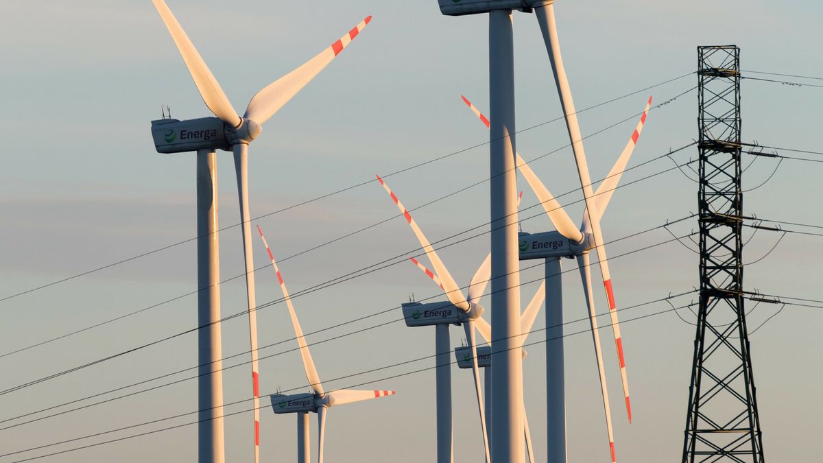 Żuławy. Farma wiatrowa Energa 