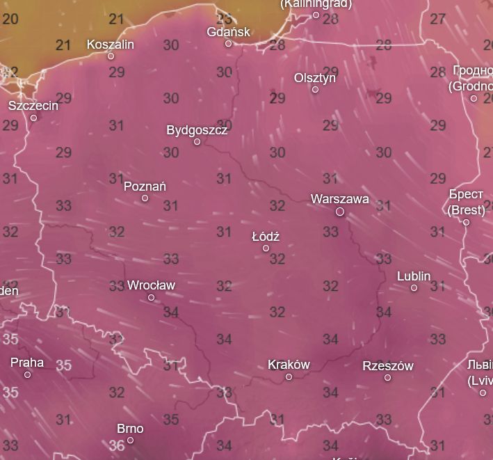 Pogoda w poniedziałek 11 sierpnia
