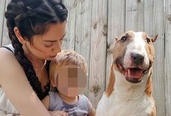 Uśpiła psa, bo ugryzł jej dziecko. Gwiazdę zalała fala krytyki