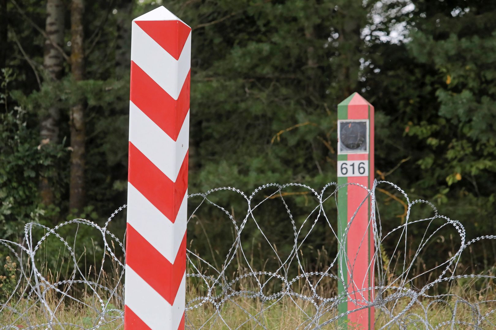 Mur Na Granicy Z Białorusią. Wicesz MON Zdradza Szczegóły - WP Wiadomości