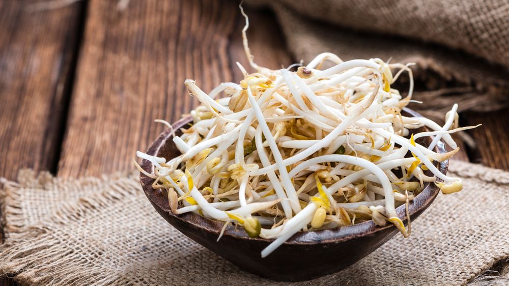 Gotowane kiełki fasoli Mung z dodatkiem soli, odsączone