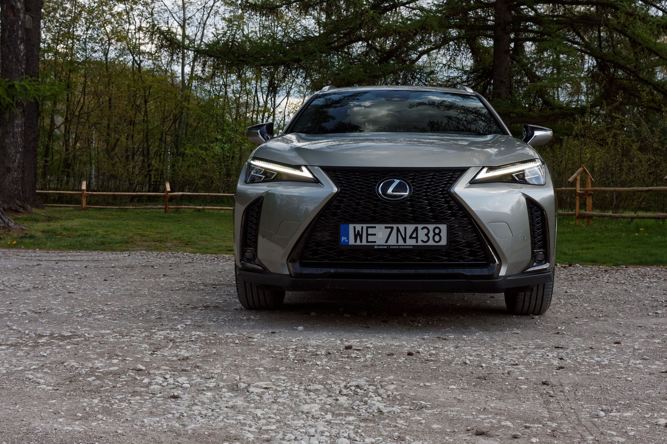 Lexus UX 250h F Sport
