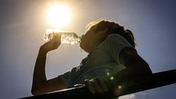 Woda to nie wszystko. Te napoje lepiej nawodnią organizm w upalne dni