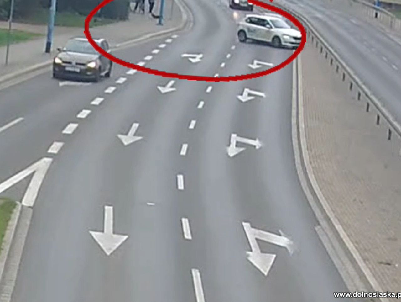 Legnica: Pies wbiegł na jezdnię. Doszło do groźnego zdarzenia drogowego