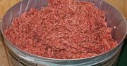 Surowa mielona jagnięcina