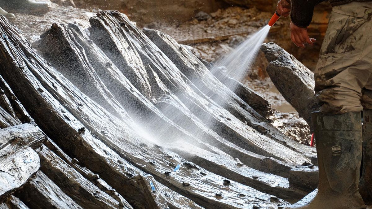 Francuscy archeolodzy muszą regularnie spryskiwać znalezisko wodą