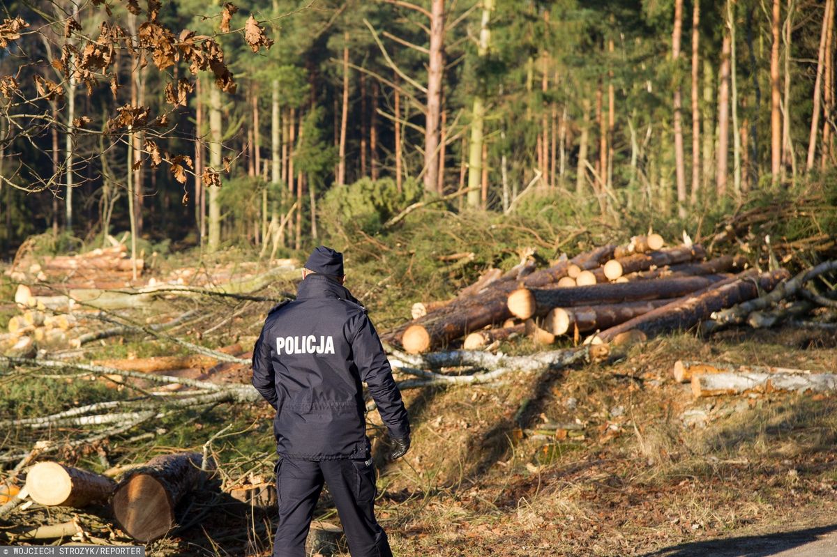 Środa Wielkopolska. Znaleziono ciało policjantki i jej 9-letniego syna. Sprawę bada prokuratura