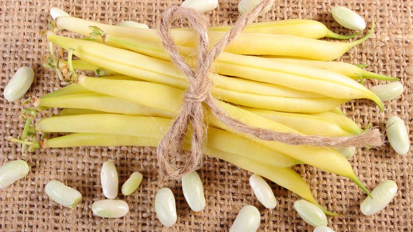 Gotowana fasolka szparagowa bez dodatku soli, odsączona