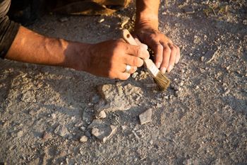 To bardzo rzadkie odkrycie archeologów. Znalezisko pod podłogą pradawnych domów