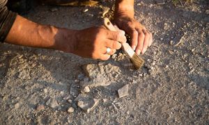 To bardzo rzadkie odkrycie archeologów. Znalezisko pod podłogą pradawnych domów
