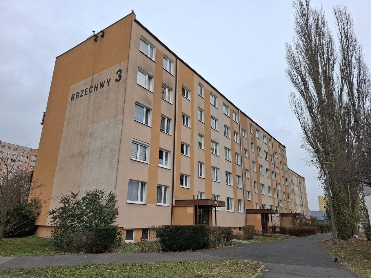 Bydgoszcz: Sąd podjął decyzję. Już trzech aresztowanych w sprawie okaleczenia mężczyzny w Fordonie