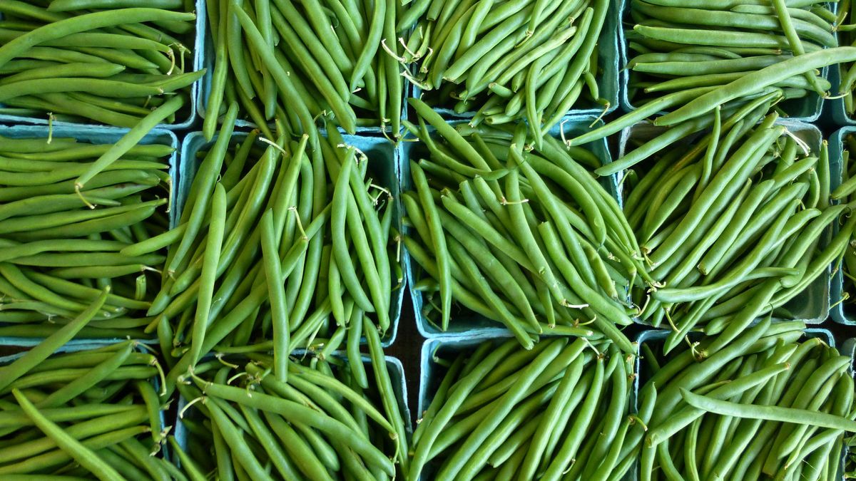 Zielona fasolka szparagowa w puszce bez dodatku soli (produkt i płyn)