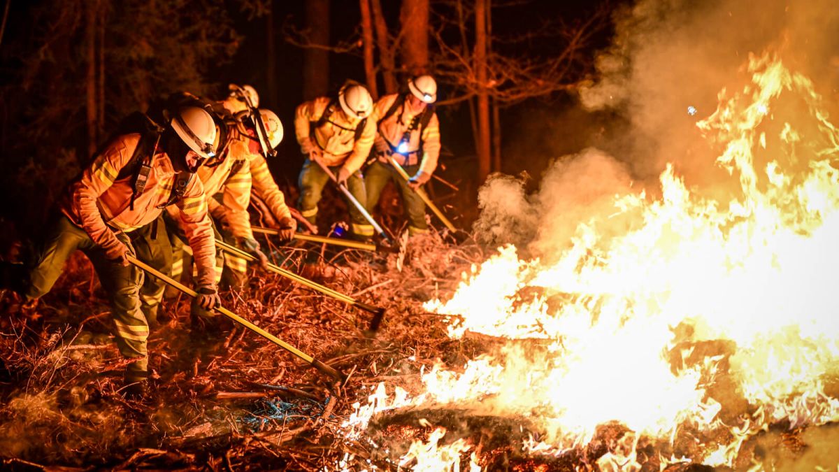 Zaostrzenie kar nie pomogło. Polacy nadal wypalają trawy