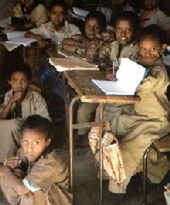 Kraj wtórnych analfabetów