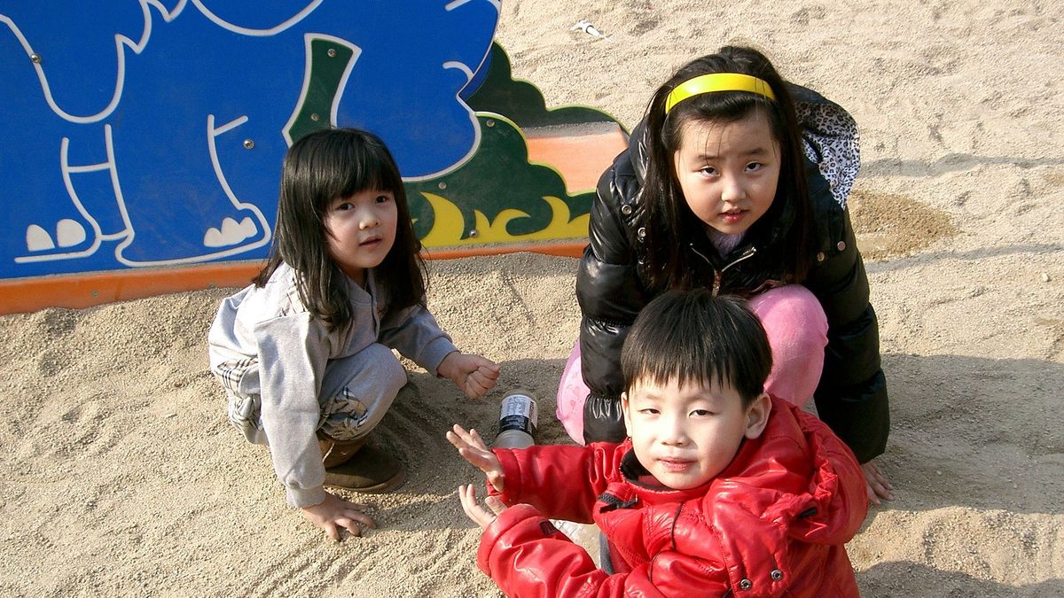 Zdjęcie ilustracyjne.