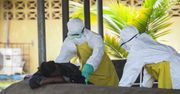 Wirus Ebola. WHO wzywa do kontroli pasażerów w krajach dotkniętych epidemią
