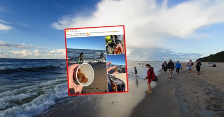 Wysyp "cukiereczków" na plaży. Ludzie się rzucili
