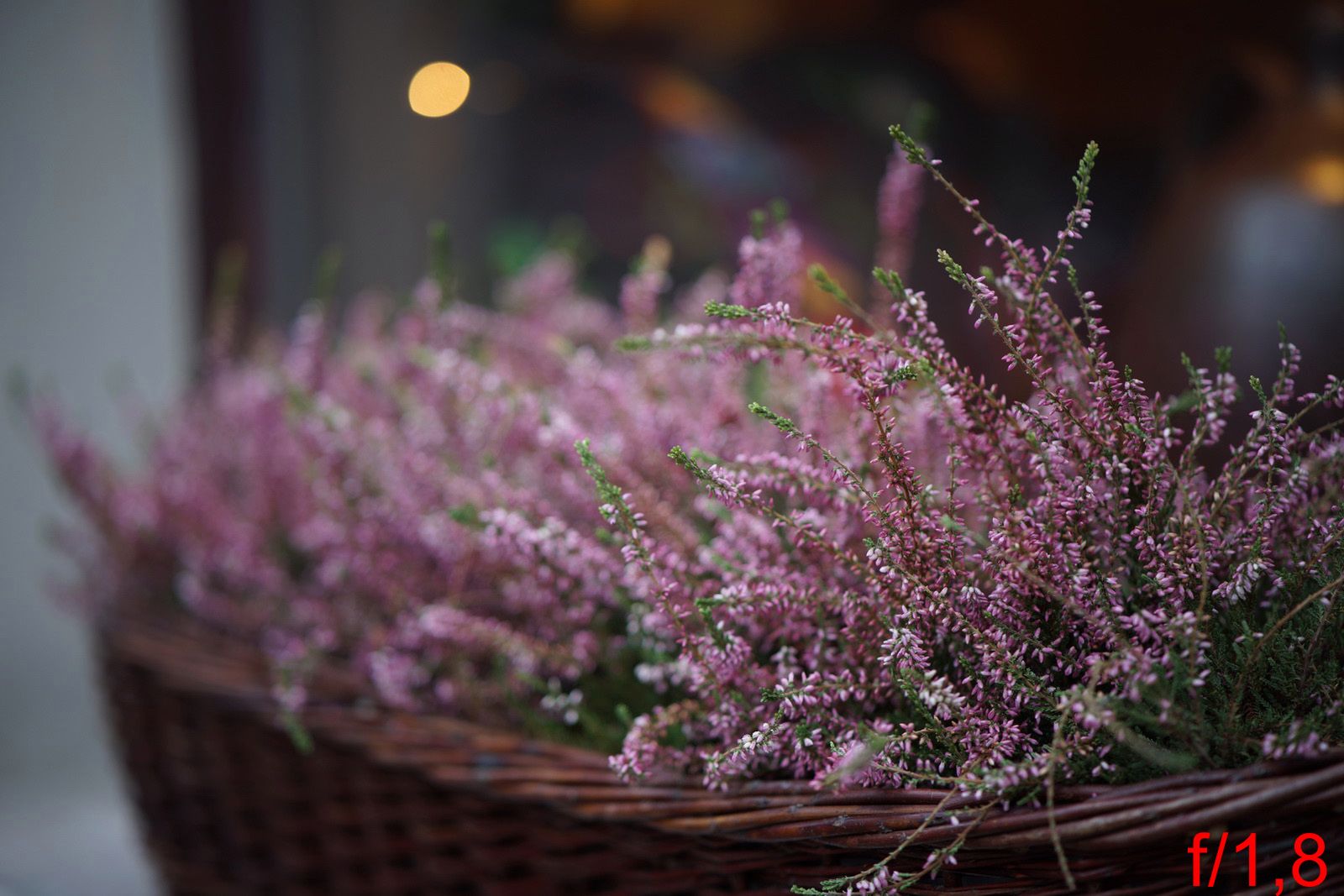 Zeiss Batis 85 mm f/1,8 [test] 14