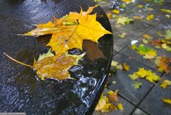 Pogoda w piątek nie zachwyci. Będzie pochmurnie i deszczowo
