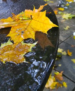 Pogoda w piątek nie zachwyci. Będzie pochmurnie i deszczowo
