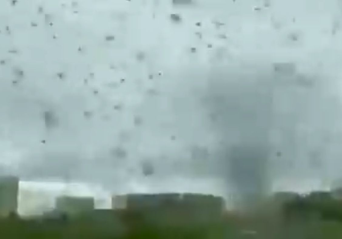 "Tornado komarów" przeleciało przez Rosję. "Niebo zrobiło się czarne"