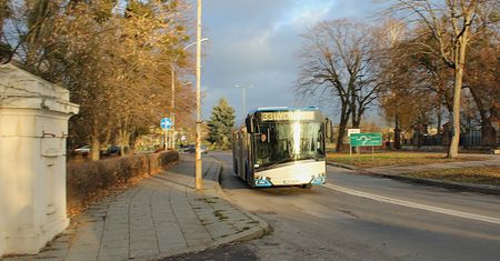 We wtorek 22 września autobusami zamojskiego MZK będziemy podróżować za darmo!