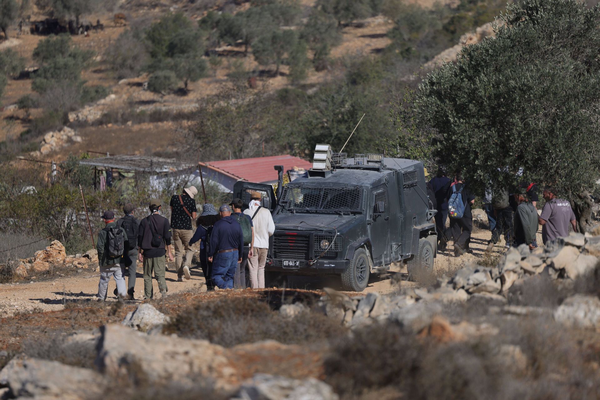 wiadomości,aktualności,WP Wiadomości Palestyńczycy obrzuceni kamieniami podczas zbiorów oliwek