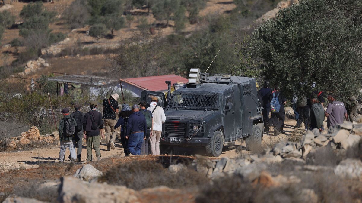 Palestinian farmers and international activists harvest olives
epa12489660 Palestinian farmers and international activists arrive to harvest olives at a farm outside the village of Yabroud and close to an Israeli settler outpost, near Ramallah City, West Bank 29 October 2025.  EPA/ALAA BADARNEH 
Dostawca: PAP/EPA.
ALAA BADARNEH
conflict