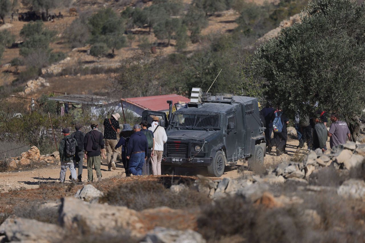 Palestyńczycy obrzuceni kamieniami podczas zbiorów oliwek