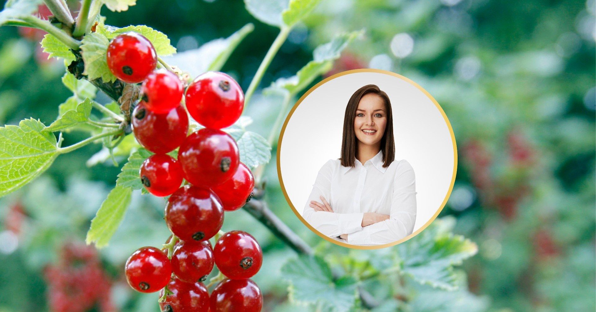 Najmocniej ucierpieli m.in. plantatorzy owoców, straty widać w uprawach porzeczek i malin.